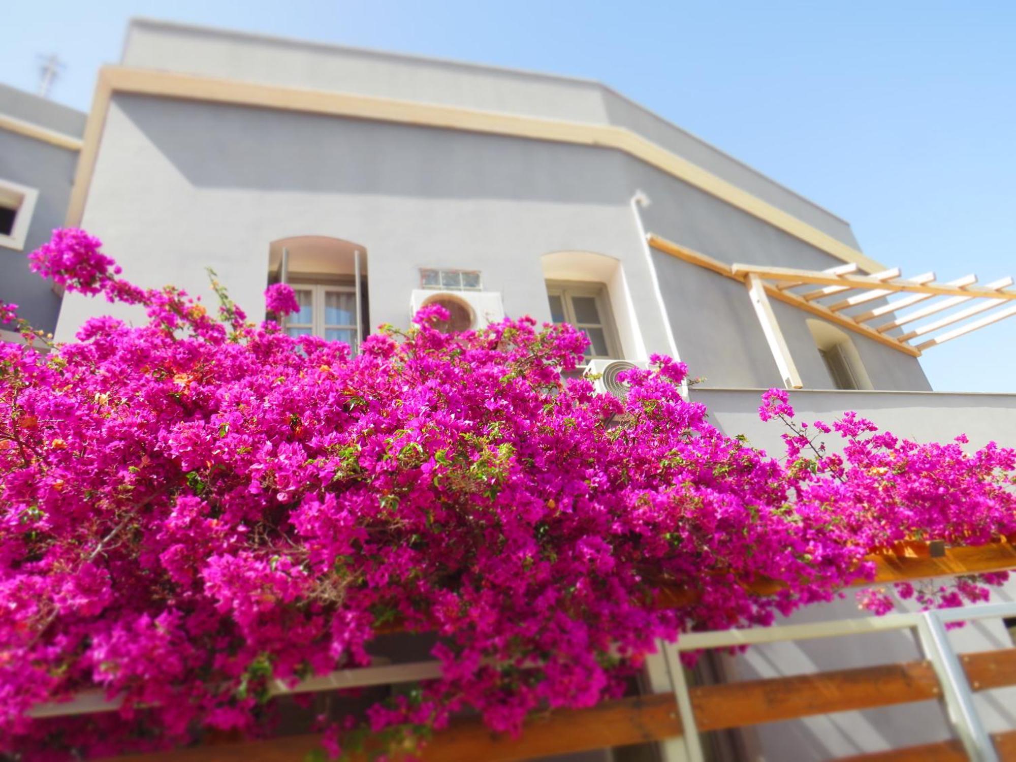 Axilleion Boutique Hotel Ermoupoli Buitenkant foto
